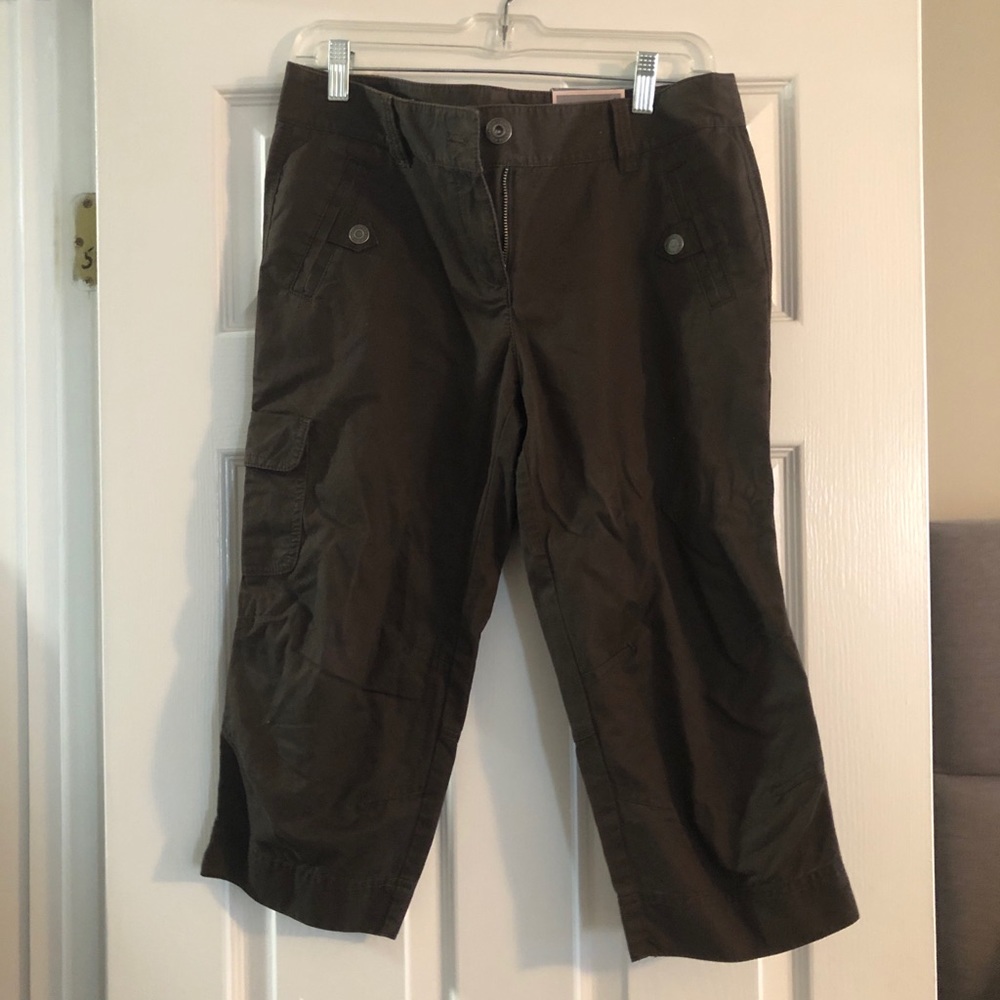 NWT Ann Taylor Capri pants. Size 6